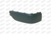 PRASCO PG4201273 Trim/Protective Strip, bumper